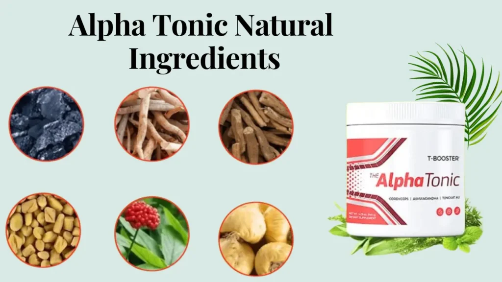 What Are The Natural Ingredients That Make Alpha Tonic Work?
