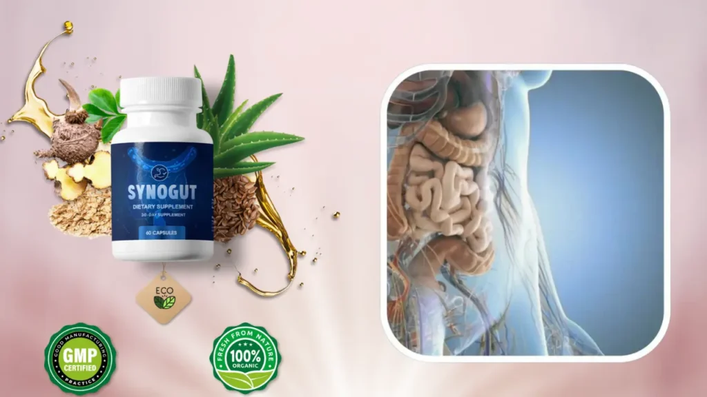 How Does SynoGut Digestive Formula Work In Our Body?